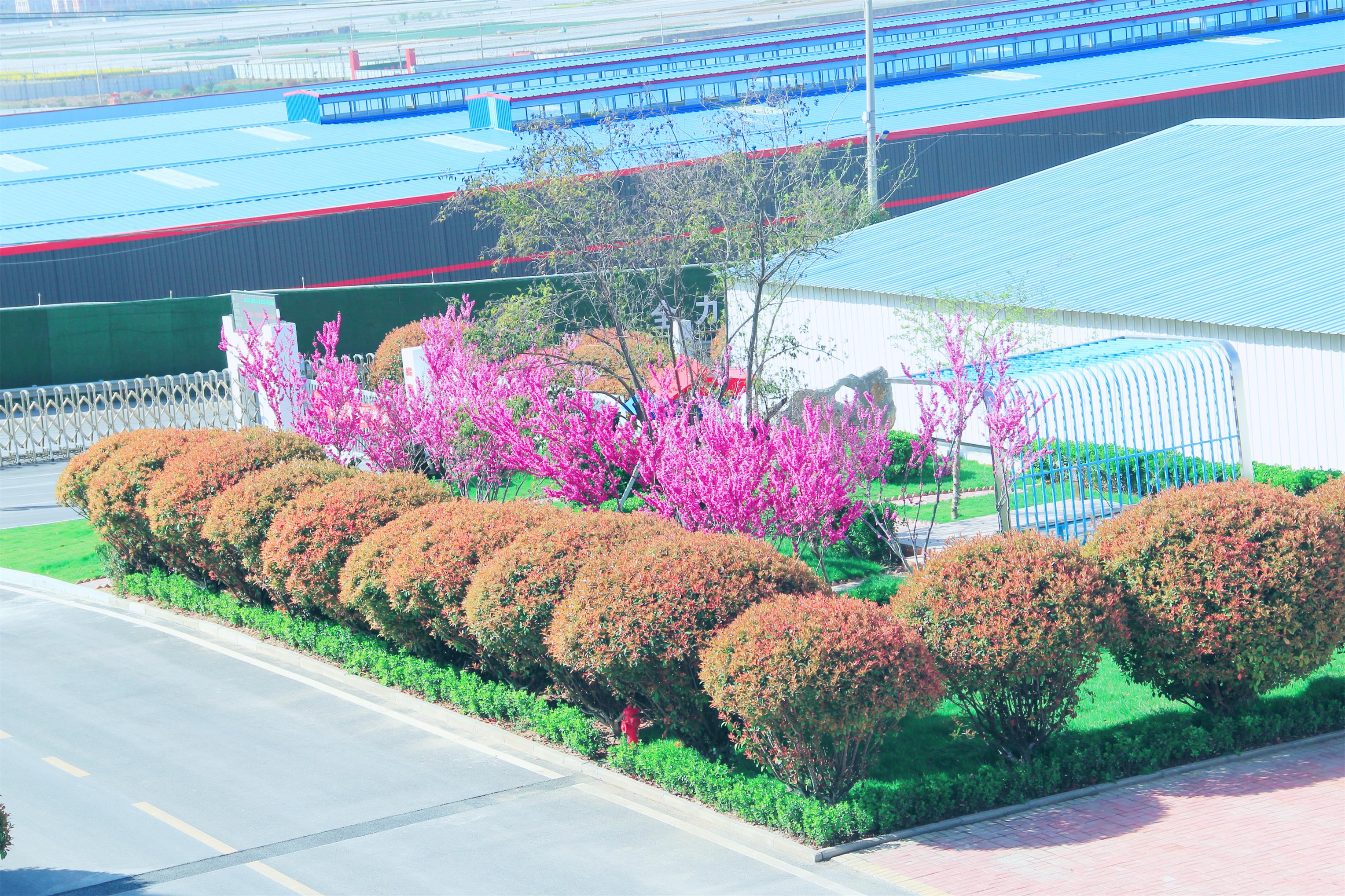 1585709798851810.jpg 1585709798851810.jpg