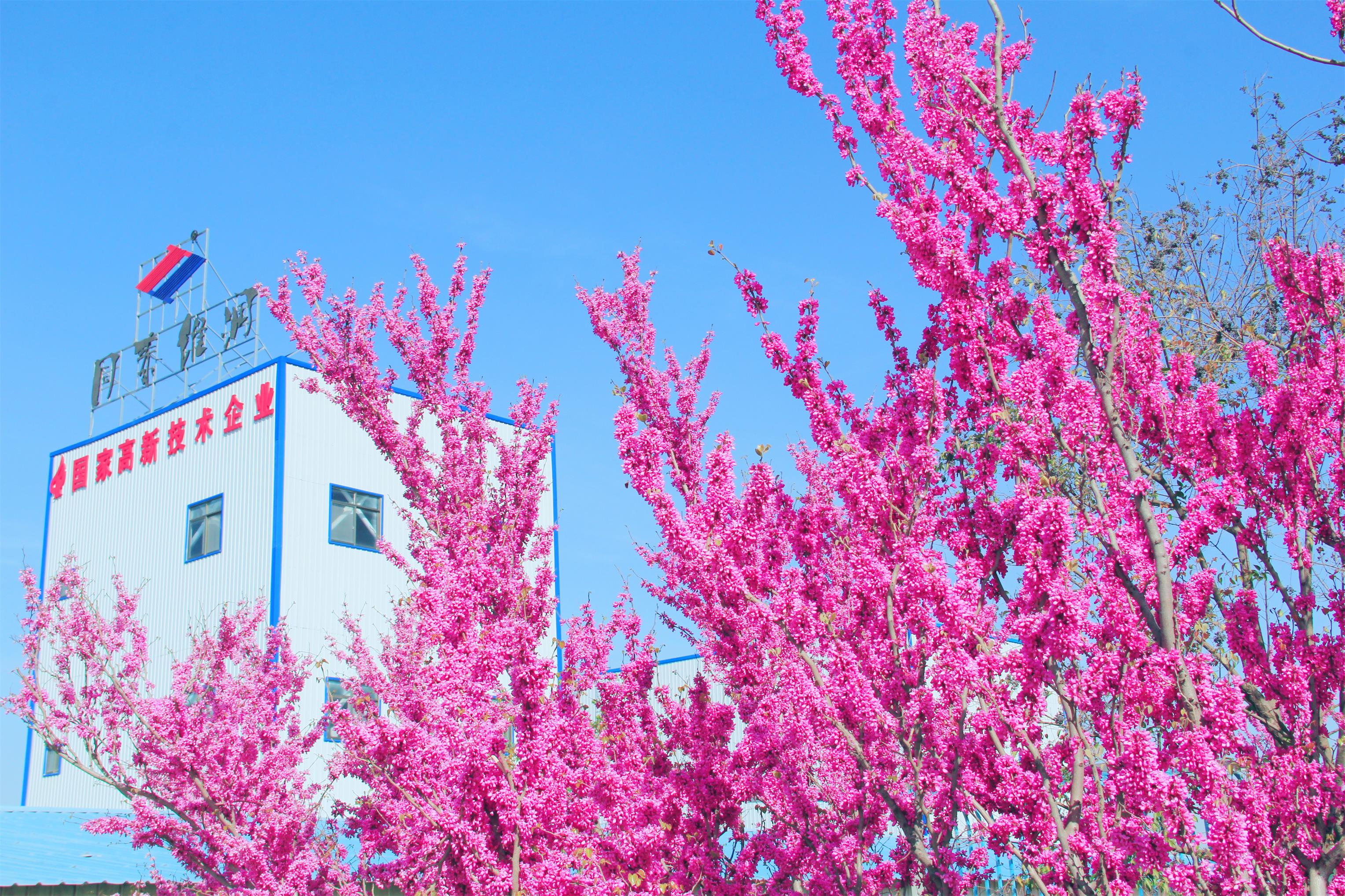 1585709843541887.jpg 1585709843541887.jpg