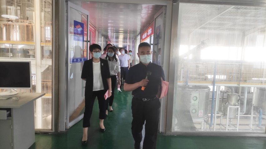 同泰維潤領導調研.jpg 同泰維潤苯甲酸鈉.jpg